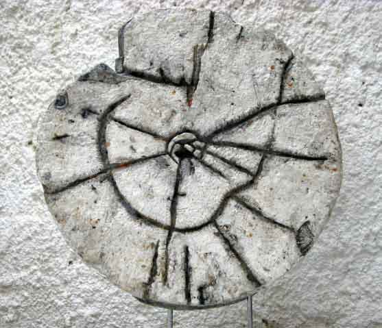 rozenblat_L557x479.jpg