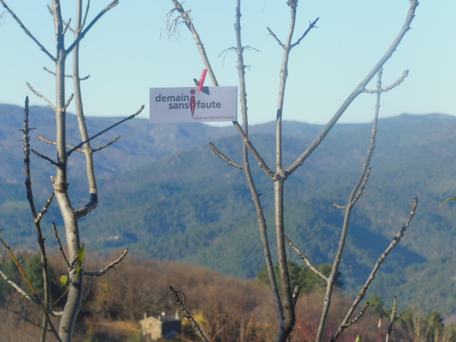 dscn4286.jpg